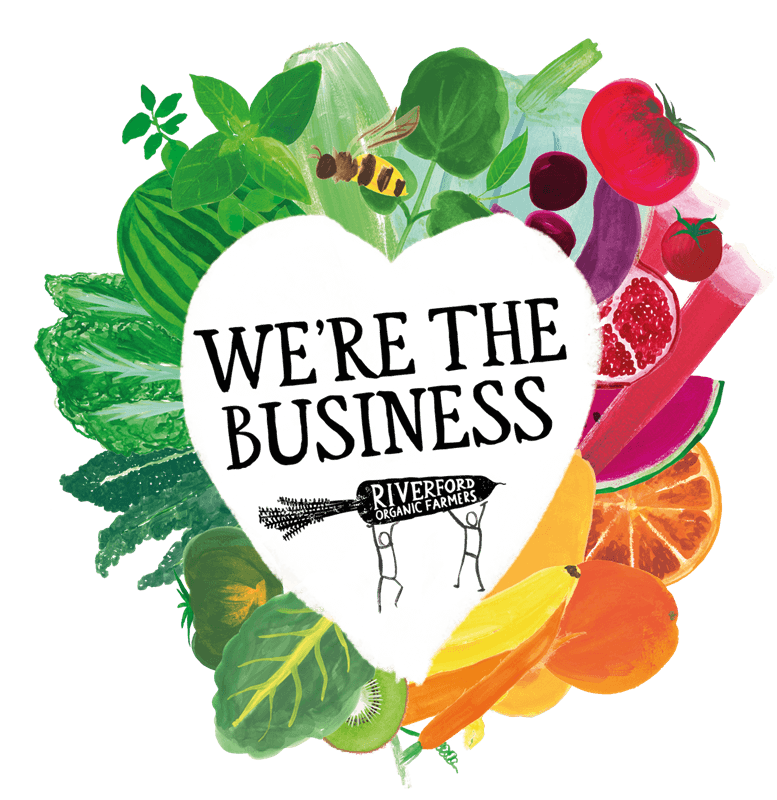 Co-owner council election 2025